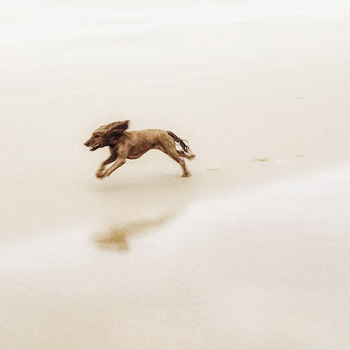 10 Amazing Smartphone Photos That Use Negative Space 1 alice1280_1_12_2016_15_33_24_28