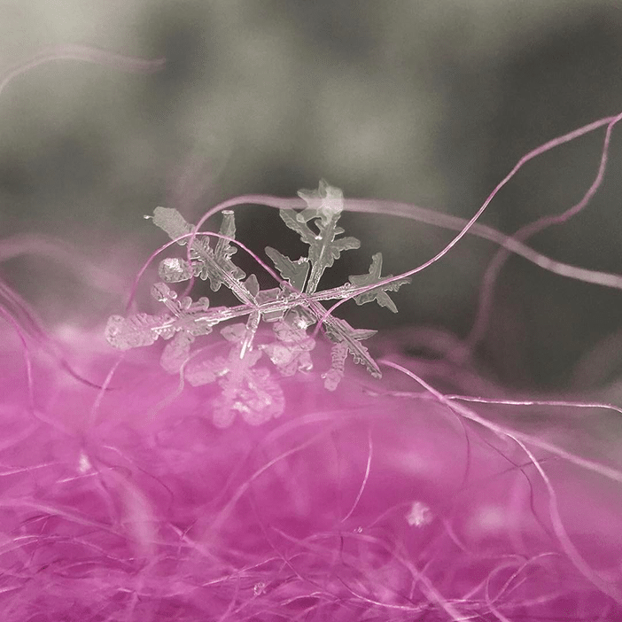 10 Wonderful Winter Scenes Taken With A Smartphone 2 10 Wonderful Winter Scenes Taken With A Smartphone 2