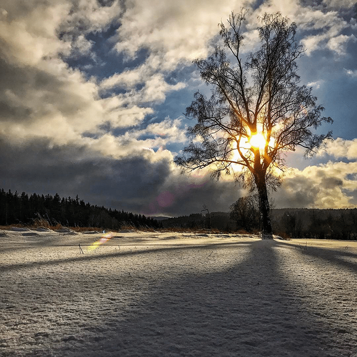 10 Wonderful Winter Scenes Taken With A Smartphone 10 10 Wonderful Winter Scenes Taken With A Smartphone 10