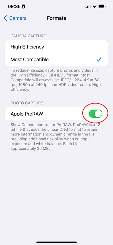 enable raw on iphone native camera app