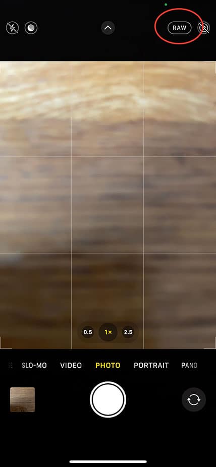 enable raw on iphone native camera app