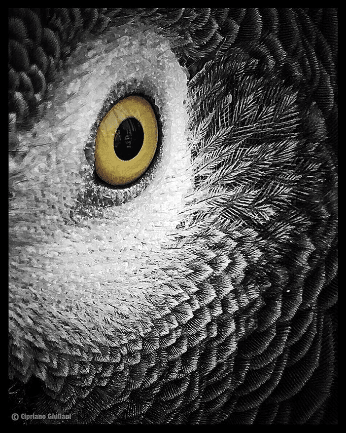 10 Beautiful Photos of Nature (All Taken With A Smartphone) 9 10 Beautiful Photos of Nature (All Taken With A Smartphone) 9