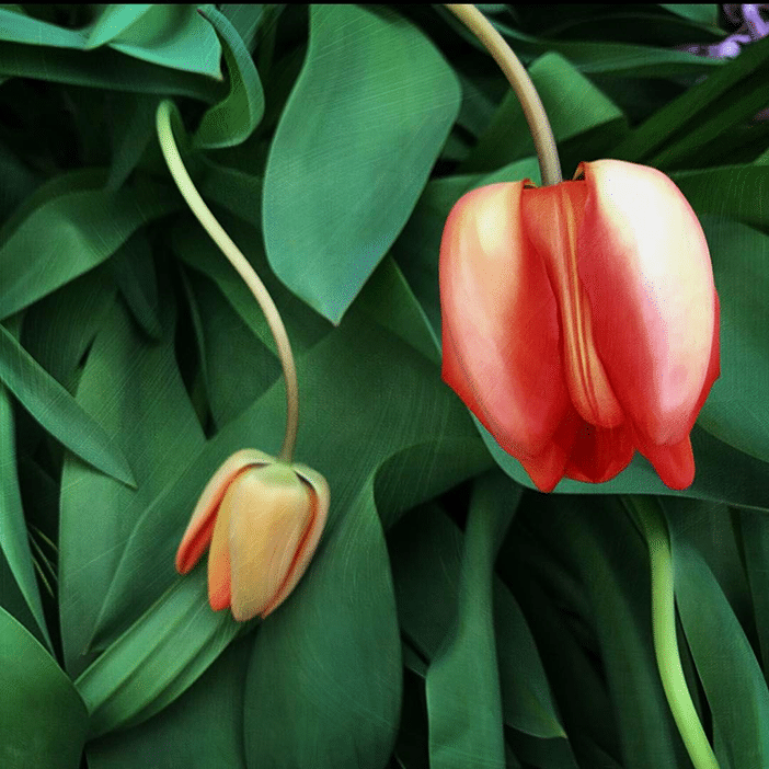 10 Beautiful Photos of Nature (All Taken With A Smartphone)