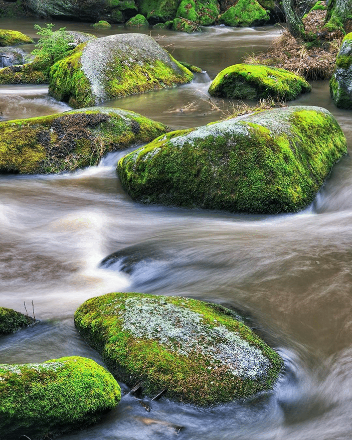 10 Beautiful Photos of Nature (All Taken With A Smartphone) 5 10 Beautiful Photos of Nature (All Taken With A Smartphone) 5