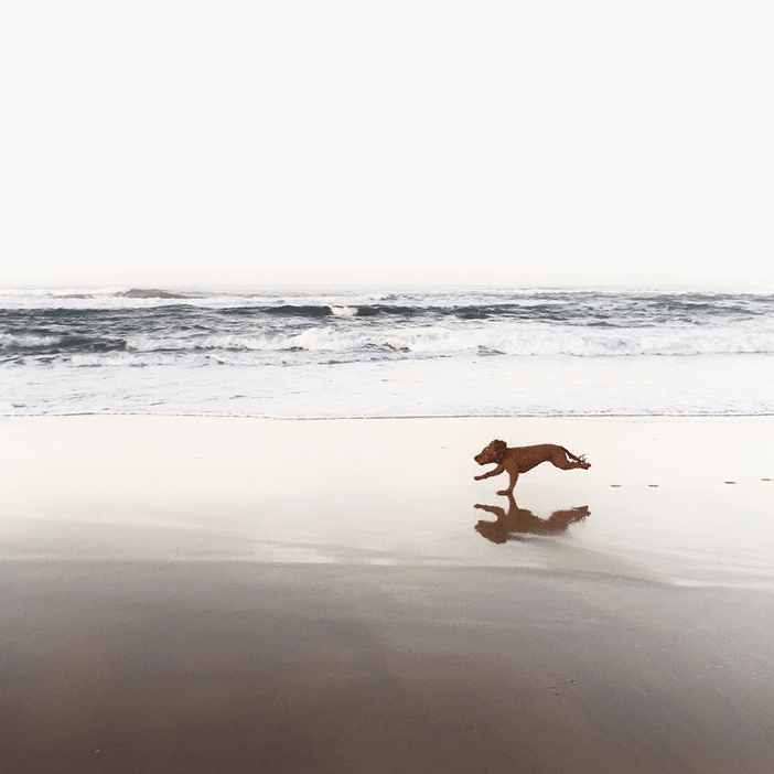 How Ann Hecht Shoots Beach Inspired Landscape iPhone Photos 11