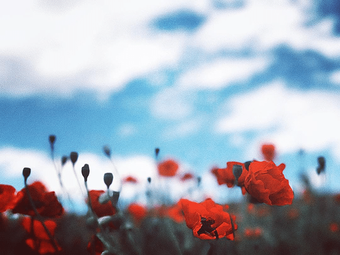 10 Stunning iPhone Photos That Use Creative Blur To Great Effect