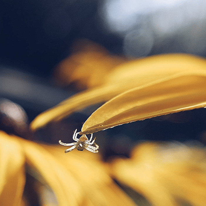 10 Amazing Macro Photos Of Small Things Taken With a Smartphone 4