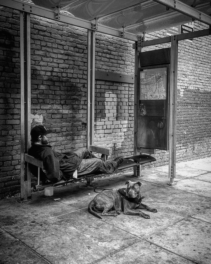 'Where I Live, What I See' Mobile Photography Showcase 3 'Where I Live, What I See' Mobile Photography Showcase 3
