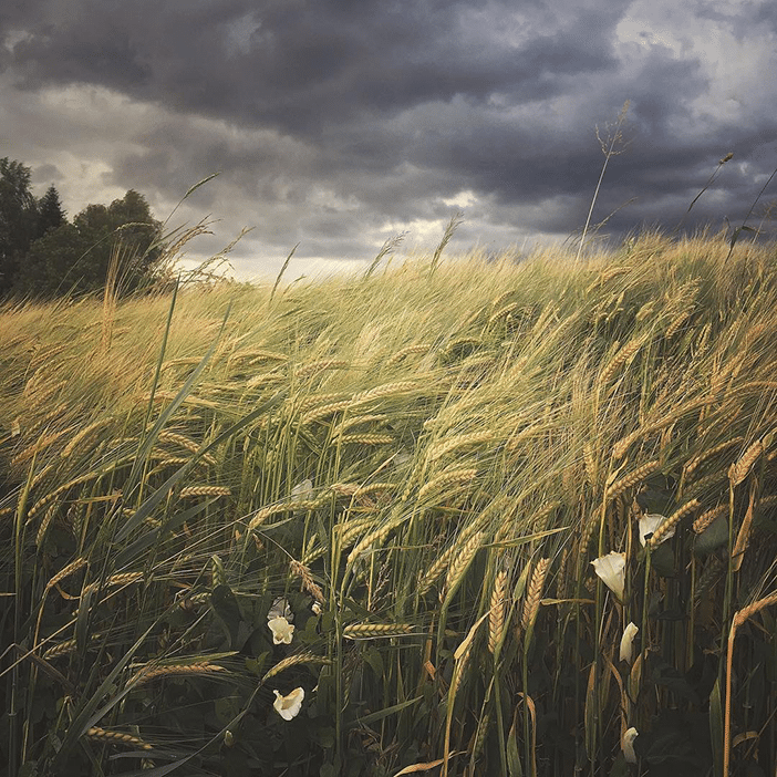 10 Stunning Examples of Landscape Photography (Taken With a Smartphone) 2 10 Stunning Examples of Landscape Photography (Taken With a Smartphone) 2