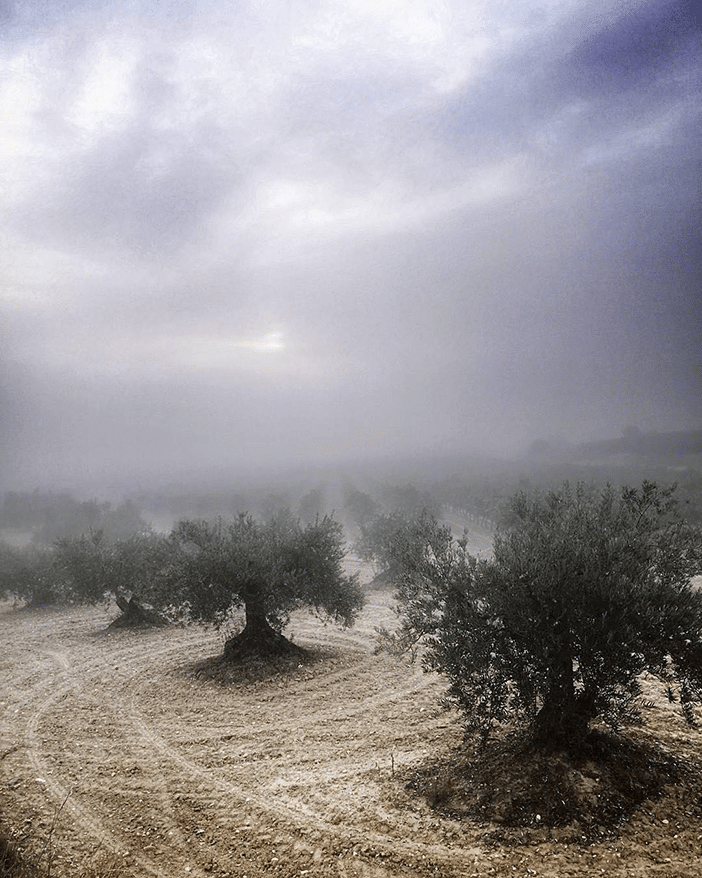 10 Stunning Examples of Landscape Photography (Taken With a Smartphone) 9 10 Stunning Examples of Landscape Photography (Taken With a Smartphone) 9