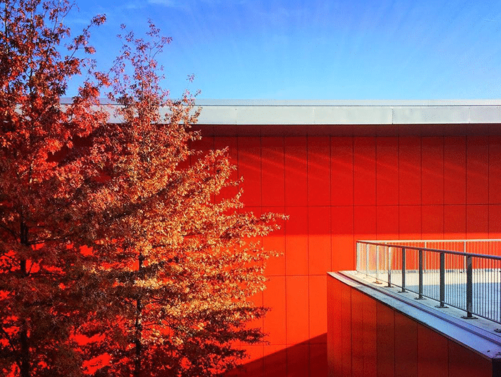 10 Amazing Autumnal Photos From The Mobiography Showcase Challenge 4