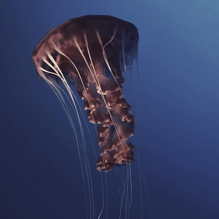 20 Beautifully Blue Photos Taken From The Mobiography Showcase Challenge