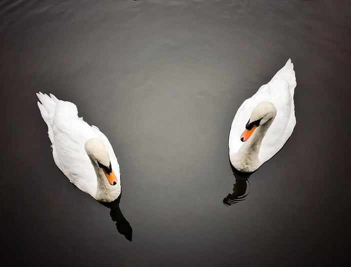 20 Superbly Symmetrical Photos Taken From The Mobiography Showcase Challenge 14 20 Superbly Symmetrical Photos Taken From The Mobiography Showcase Challenge 14