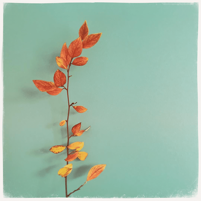 10 Amazing Autumnal Photos From The Mobiography Showcase Challenge