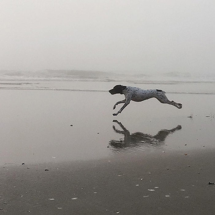 20 Superb Examples of Reflection Photography (That Were Taken With a Smartphone) 4 20 Superb Examples of Reflection Photography (That Were Taken With a Smartphone) 4