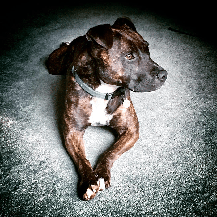 18 Beautiful Portraits of People & Animals Taken With a Smartphone 15 18 Beautiful Portraits of People & Animals Taken With a Smartphone 15