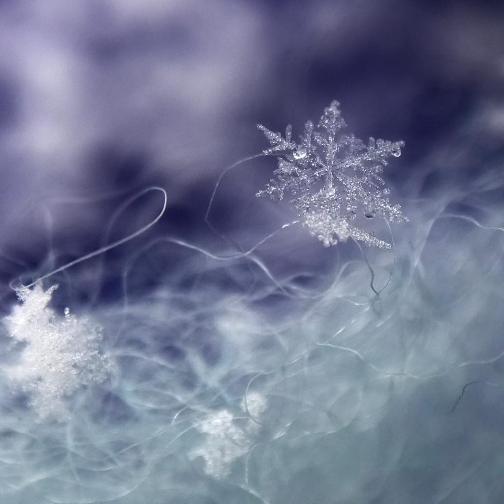 Showcase Challenge: 16 Beautiful Winter-Time Inspired Smartphone Photos. 5 Showcase Challenge: 16 Beautiful Winter-Time Inspired Smartphone Photos. 5
