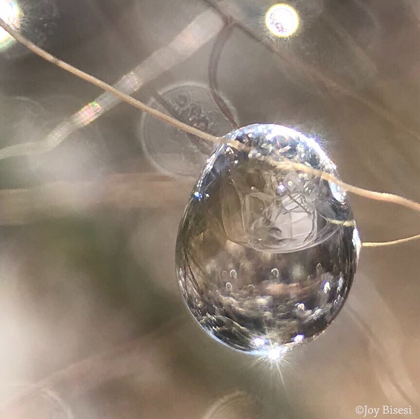 Showcase Challenge: 16 Beautiful Winter-Time Inspired Smartphone Photos. 7 Showcase Challenge: 16 Beautiful Winter-Time Inspired Smartphone Photos. 7