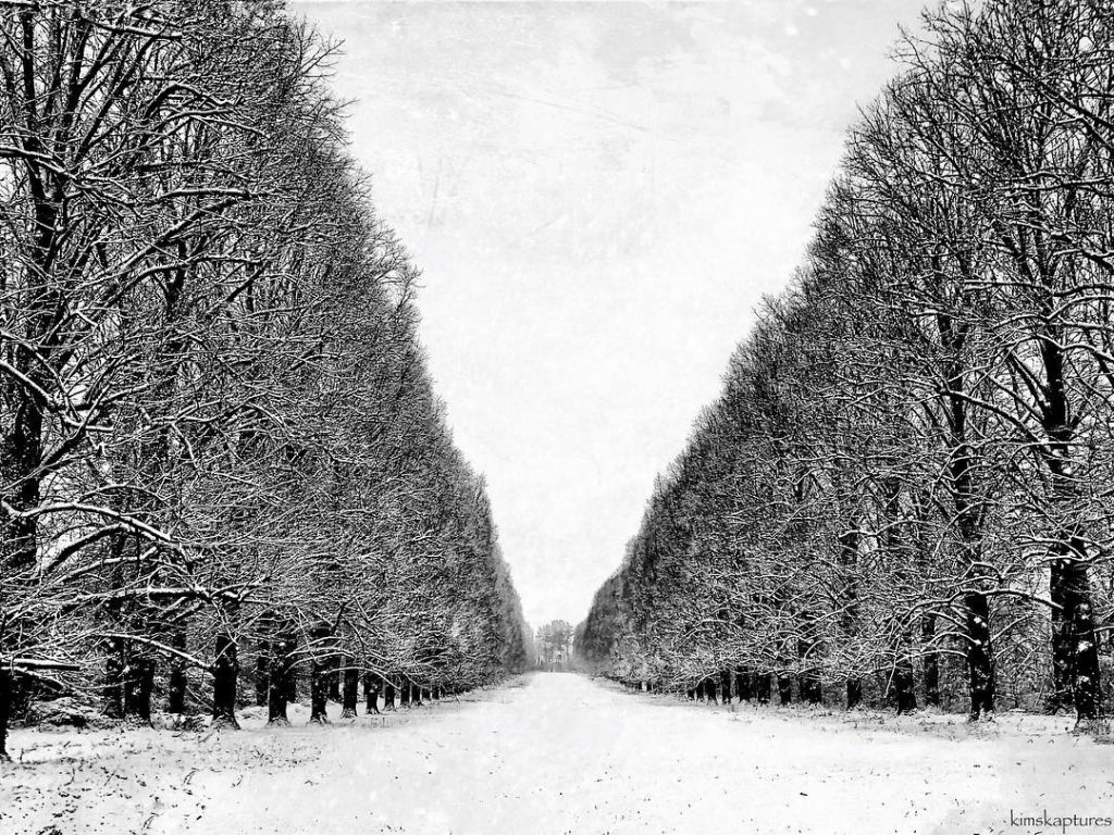 Showcase Challenge: 16 Beautiful Winter-Time Inspired Smartphone Photos. 9 Showcase Challenge: 16 Beautiful Winter-Time Inspired Smartphone Photos. 9
