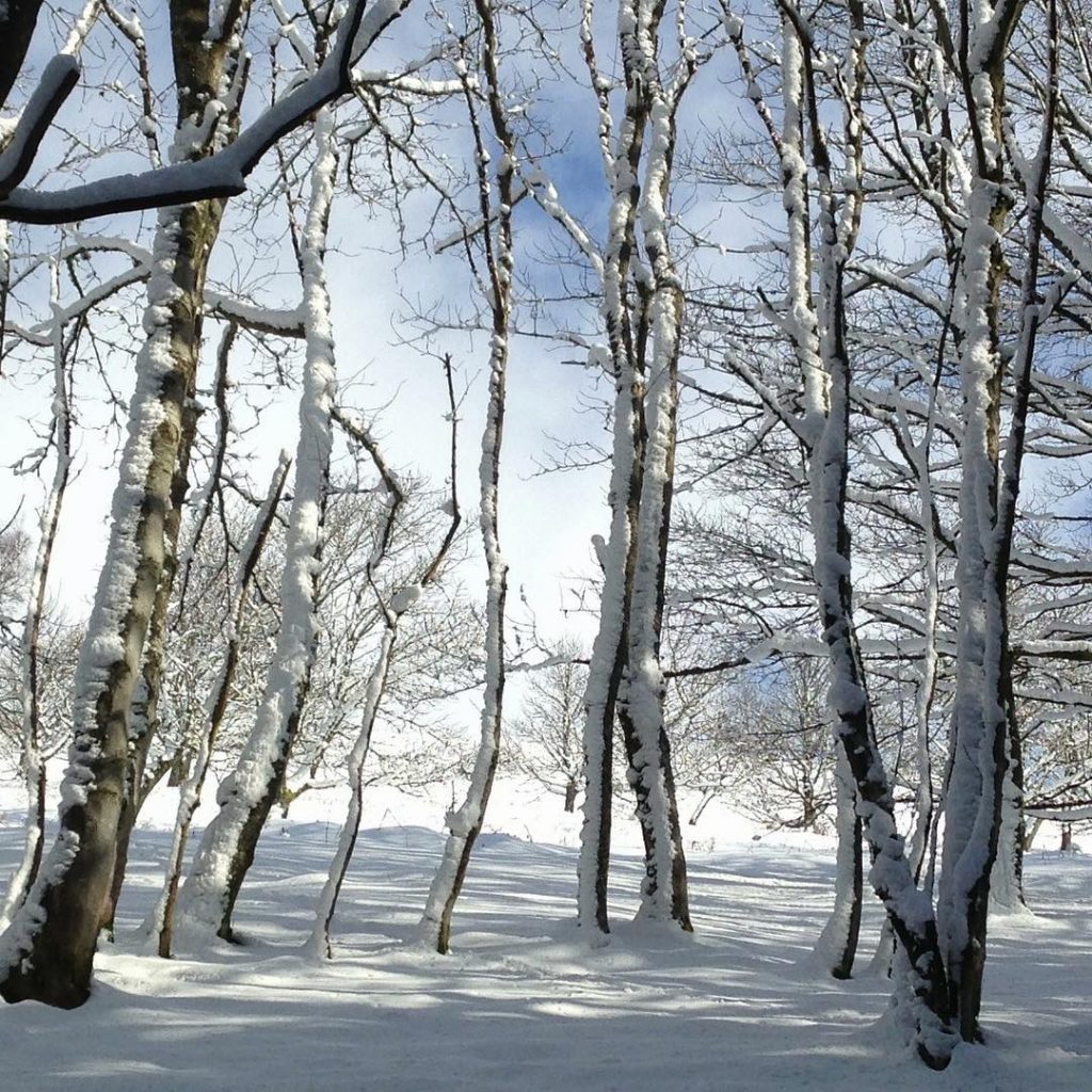 Showcase Challenge: 16 Beautiful Winter-Time Inspired Smartphone Photos. 16 Showcase Challenge: 16 Beautiful Winter-Time Inspired Smartphone Photos. 16
