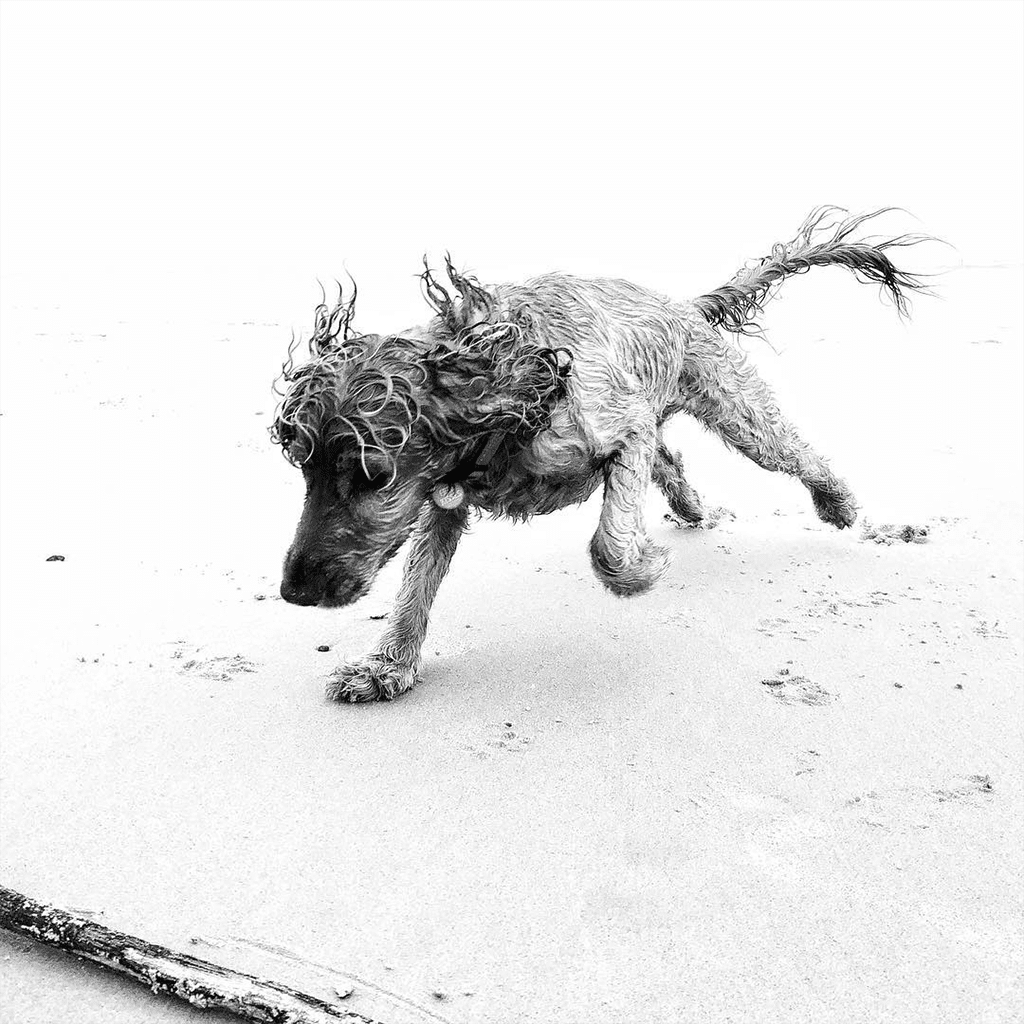 Showcase Challenge: 20 Stunning Examples of Black and White Smartphone Photography 16 Showcase Challenge: 20 Stunning Examples of Black and White Smartphone Photography 16