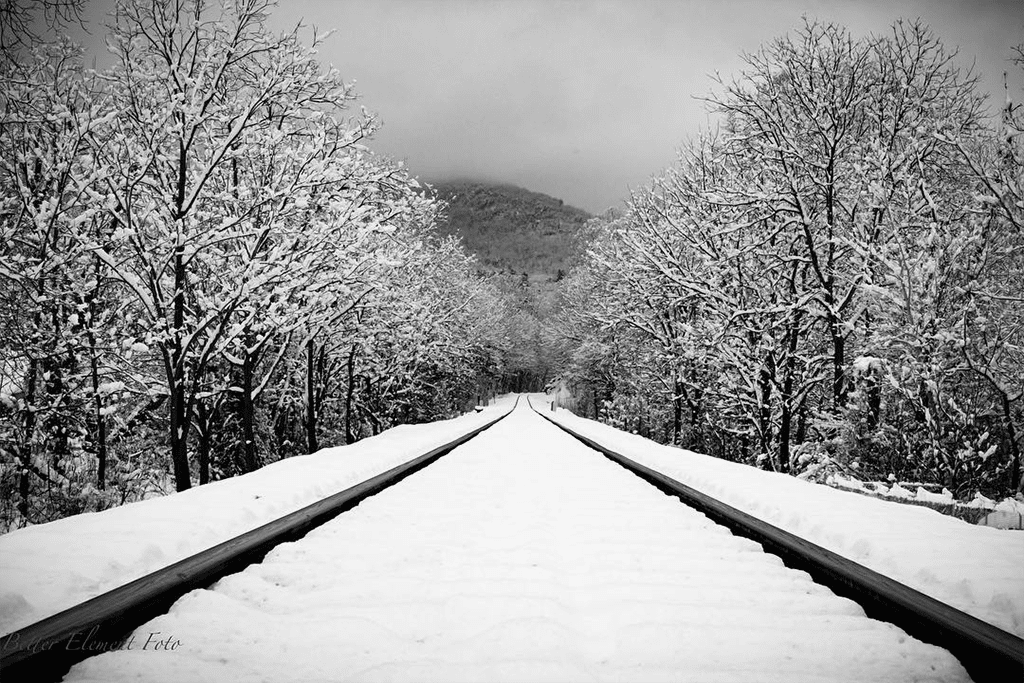 Showcase Challenge: 20 Stunning Examples of Black and White Smartphone Photography 15 Showcase Challenge: 20 Stunning Examples of Black and White Smartphone Photography 15