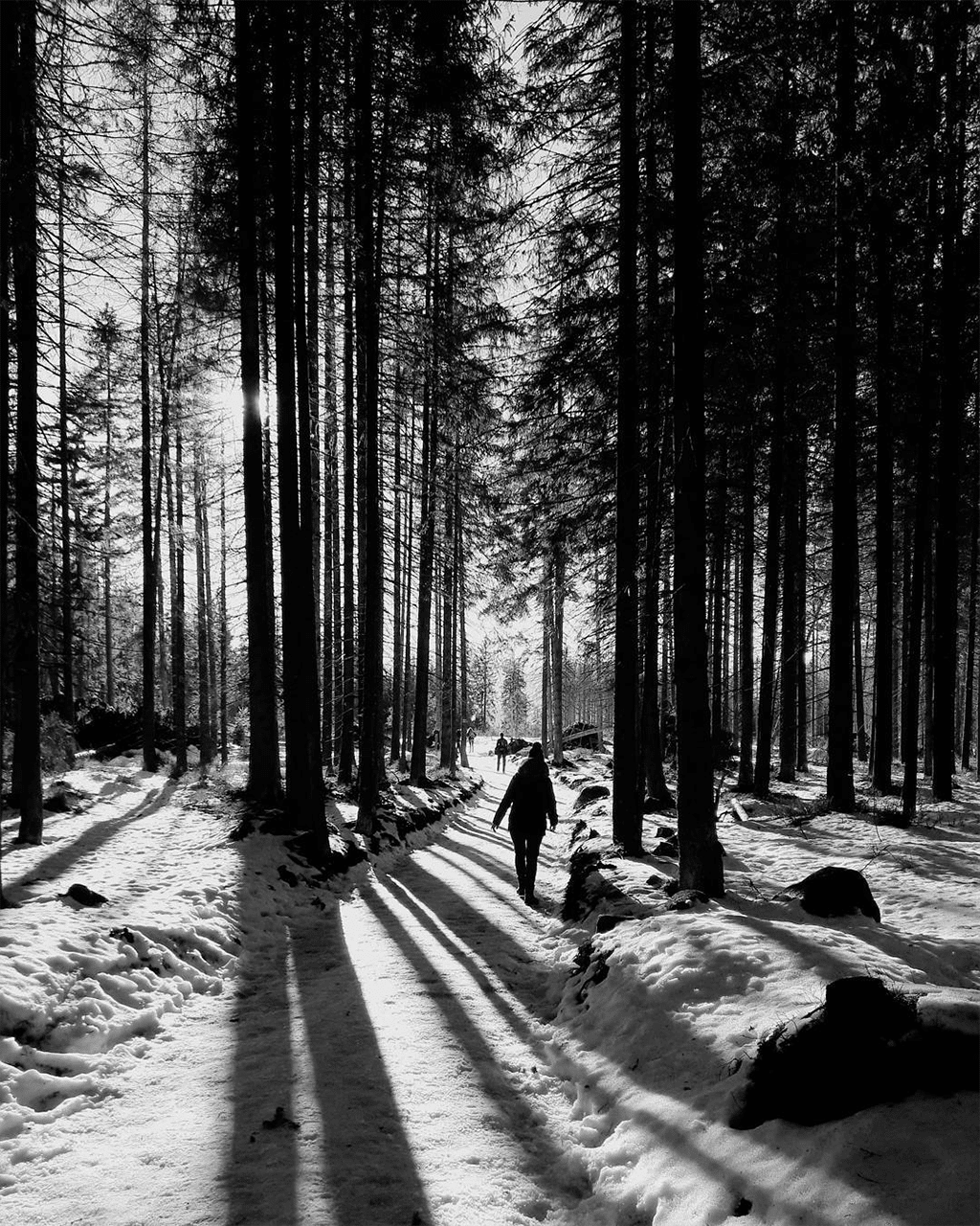 Showcase Challenge: 20 Stunning Examples of Black and White Smartphone Photography 14 Showcase Challenge: 20 Stunning Examples of Black and White Smartphone Photography 14