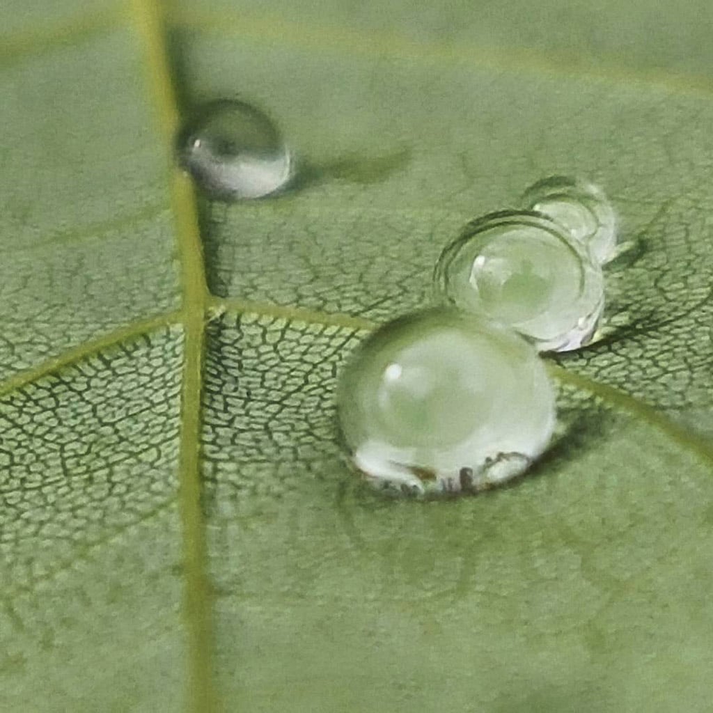 Mobiography Showcase: 15 Examples of Rainy Day Photography Taken With a Smartphone 4 Mobiography Showcase: 15 Examples of Rainy Day Photography Taken With a Smartphone 4