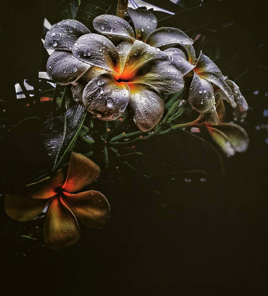 Mobiography Showcase: 15 Examples of Rainy Day Photography Taken With a Smartphone 13 Mobiography Showcase: 15 Examples of Rainy Day Photography Taken With a Smartphone 13