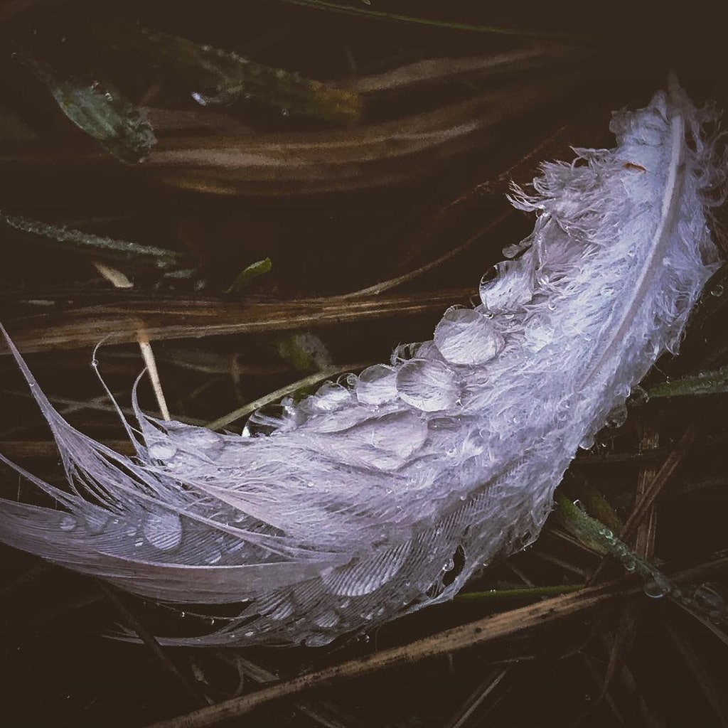 Mobiography Showcase: 15 Examples of Rainy Day Photography Taken With a Smartphone 14 Mobiography Showcase: 15 Examples of Rainy Day Photography Taken With a Smartphone 14
