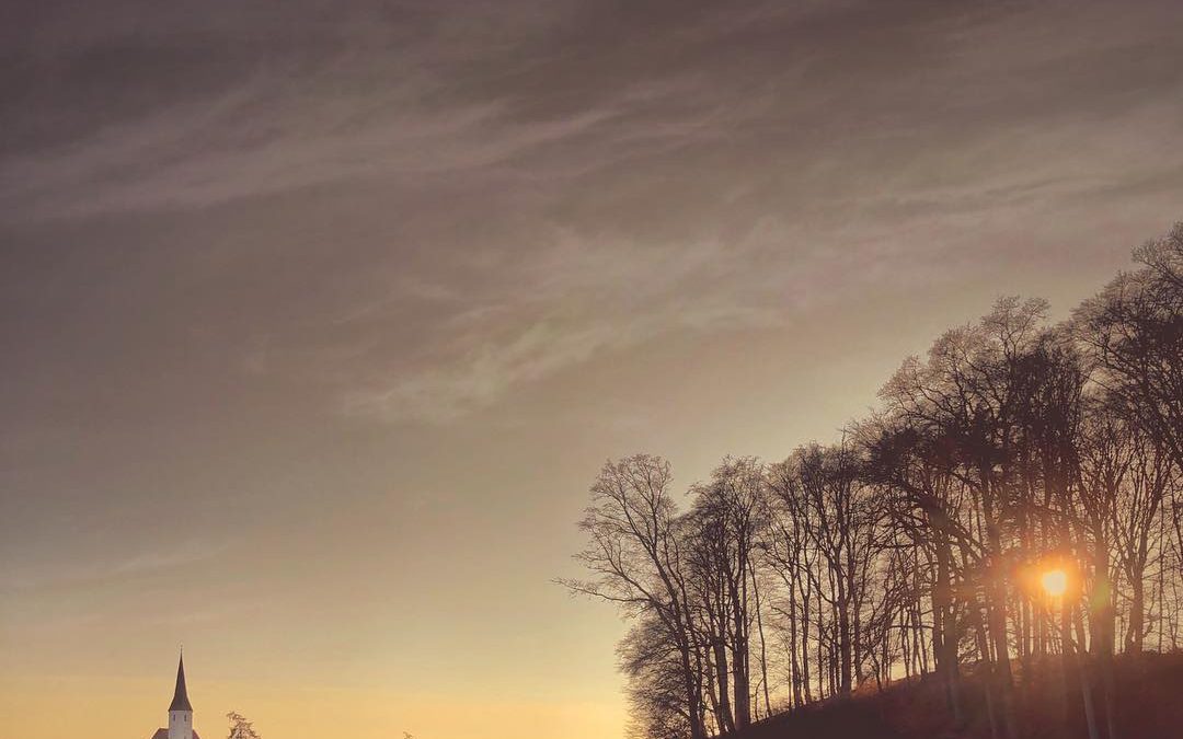Mobiography Showcase Challenge: 17 Stunning Photographs of Trees Taken With a Smartphone