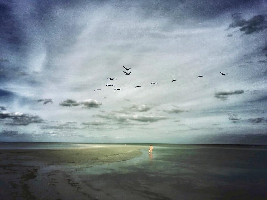Mobiography Showcase Challenge: 15 Simple Photo Compositions That Were Taken With A Smartphone 11 Mobiography Showcase Challenge: 15 Simple Photo Compositions That Were Taken With A Smartphone 11