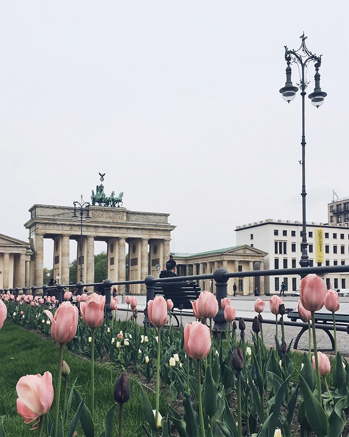 Mobiography Showcase Challenge: 12 Beautiful Springtime Photos (Taken With A Smartphone) 5 Mobiography Showcase Challenge: 12 Beautiful Springtime Photos (Taken With A Smartphone) 5