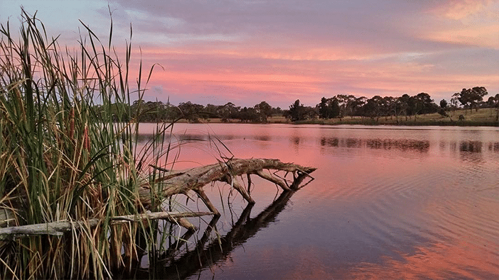 Mobiography Showcase Challenge: 12 Beautiful Springtime Photos (Taken With A Smartphone) 6 Mobiography Showcase Challenge: 12 Beautiful Springtime Photos (Taken With A Smartphone) 6