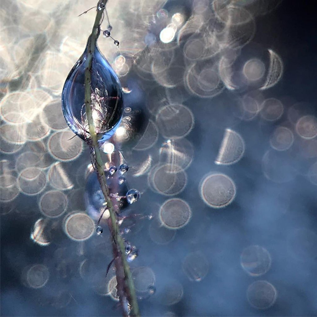 Mobiography Showcase Challenge: 15 Amazing Blue Inspired Smartphone Photos 5