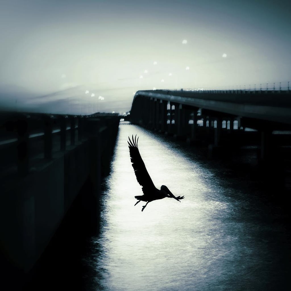 Mobiography Showcase Challenge: 15 Amazing Blue Inspired Smartphone Photos 10