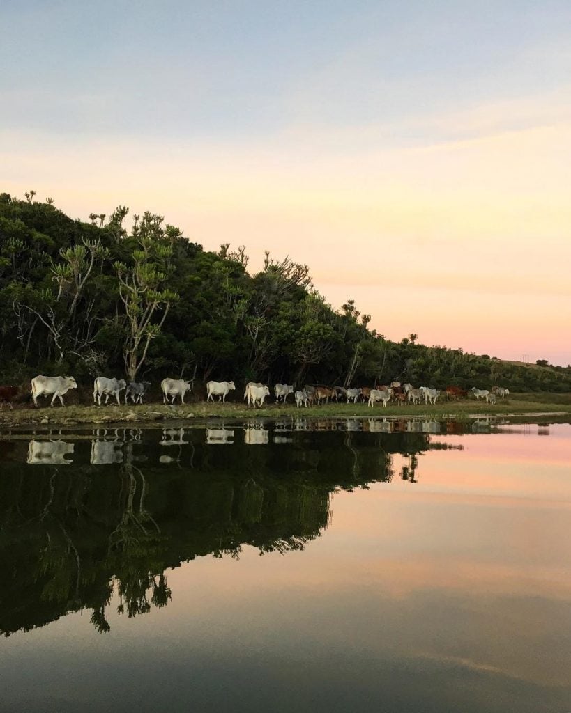 How to Take Stunning Landscape Photos with an iPhone 7 Landscape Photography Photo 7