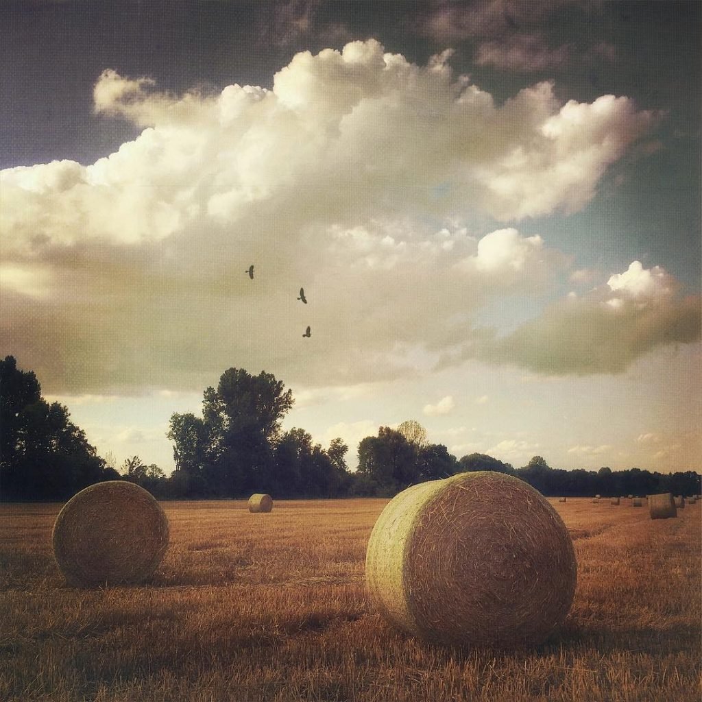 How to Take Stunning Landscape Photos with an iPhone 6 Landscape Photography Photo 4