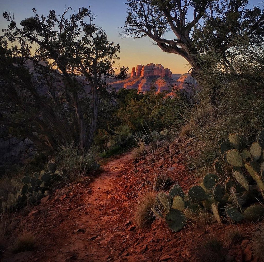 Mobiography Photo Challenge: 14 Superb 'Into the Distance' Inspired Smartphone Photos 2