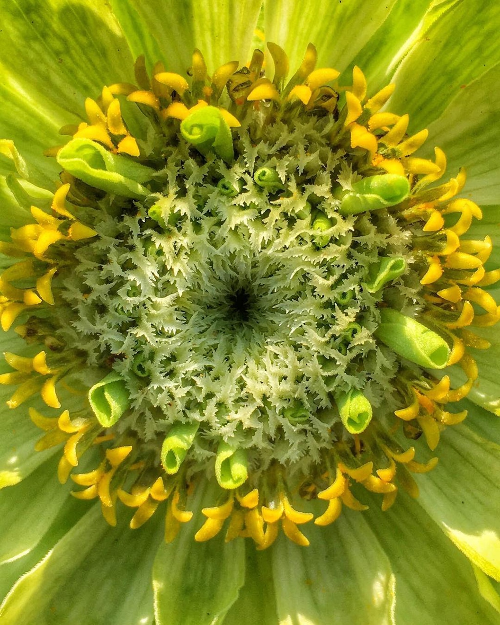 Mobiography Photo Challenge: 15 Stunning Beautiful World Inspired Smartphone Photos 8 Mobiography Photo Challenge: 15 Stunning Beautiful World Inspired Smartphone Photos 8