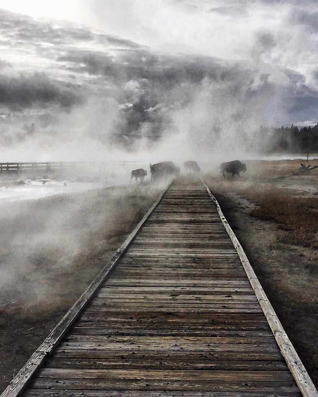 Mobiography Photo Challenge: 15 Stunning Beautiful World Inspired Smartphone Photos 15 Mobiography Photo Challenge: 15 Stunning Beautiful World Inspired Smartphone Photos 15