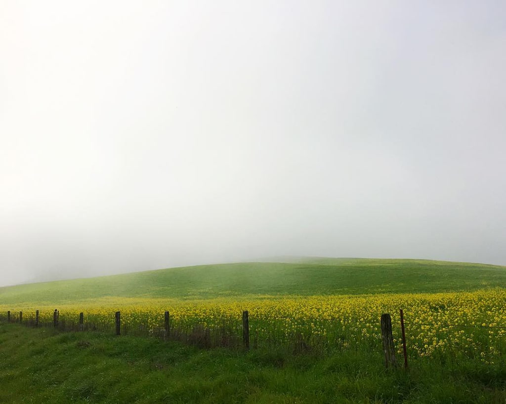 Mobiography Photo Challenge: 15 Stunning Beautiful World Inspired Smartphone Photos 11 Mobiography Photo Challenge: 15 Stunning Beautiful World Inspired Smartphone Photos 11