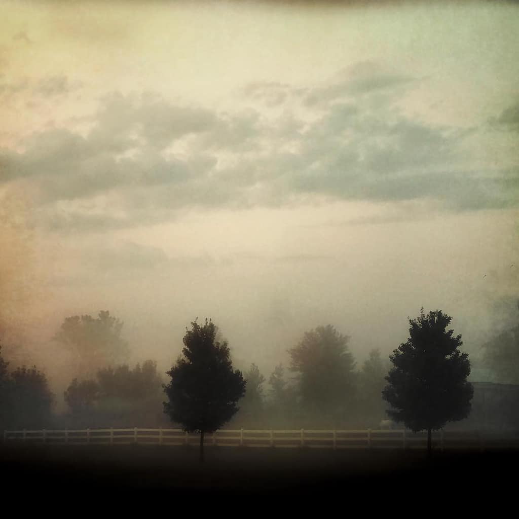 Mobiography Photo Challenge: 15 Beautifully Peaceful, Calm & Tranquil Smartphone Photos 5