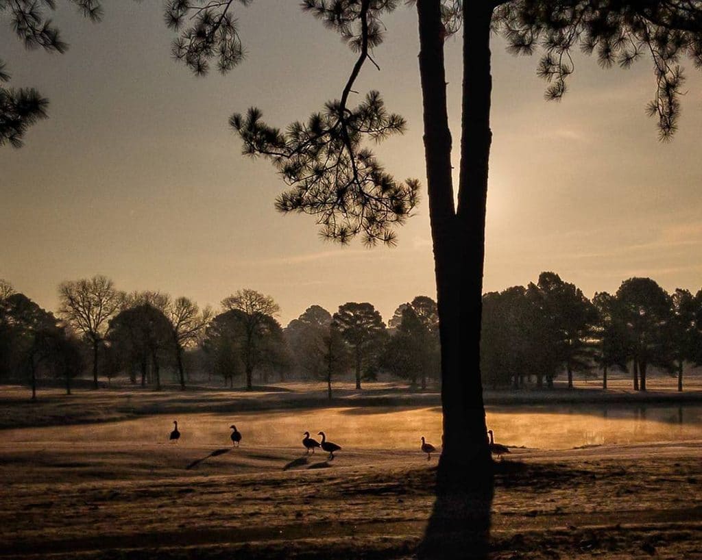 Mobiography Photo Challenge: 15 Beautifully Peaceful, Calm & Tranquil Smartphone Photos 9