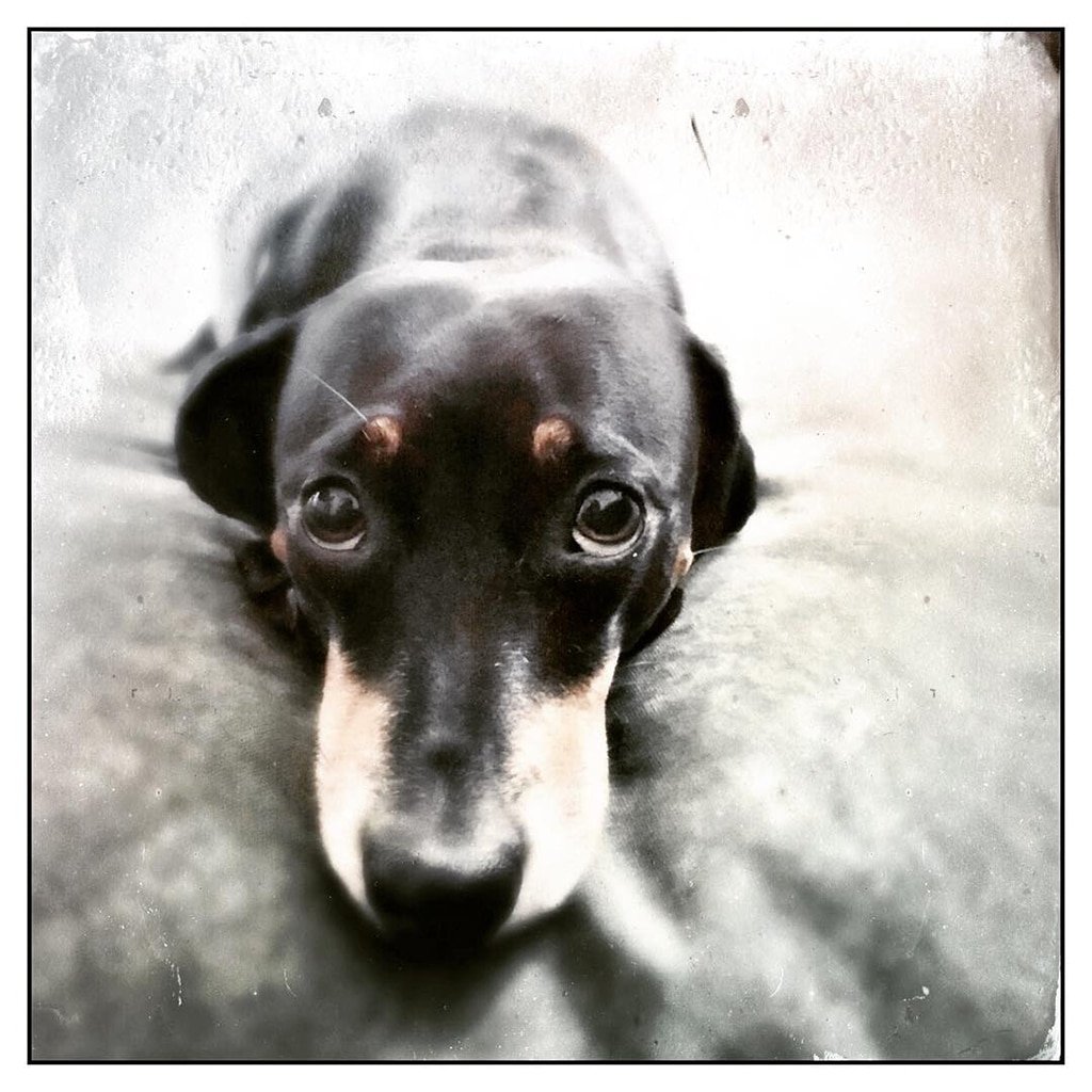 Mobiography Photo Challenge: 20 Beautiful Portrait Photos Taken With a Smartphone 6