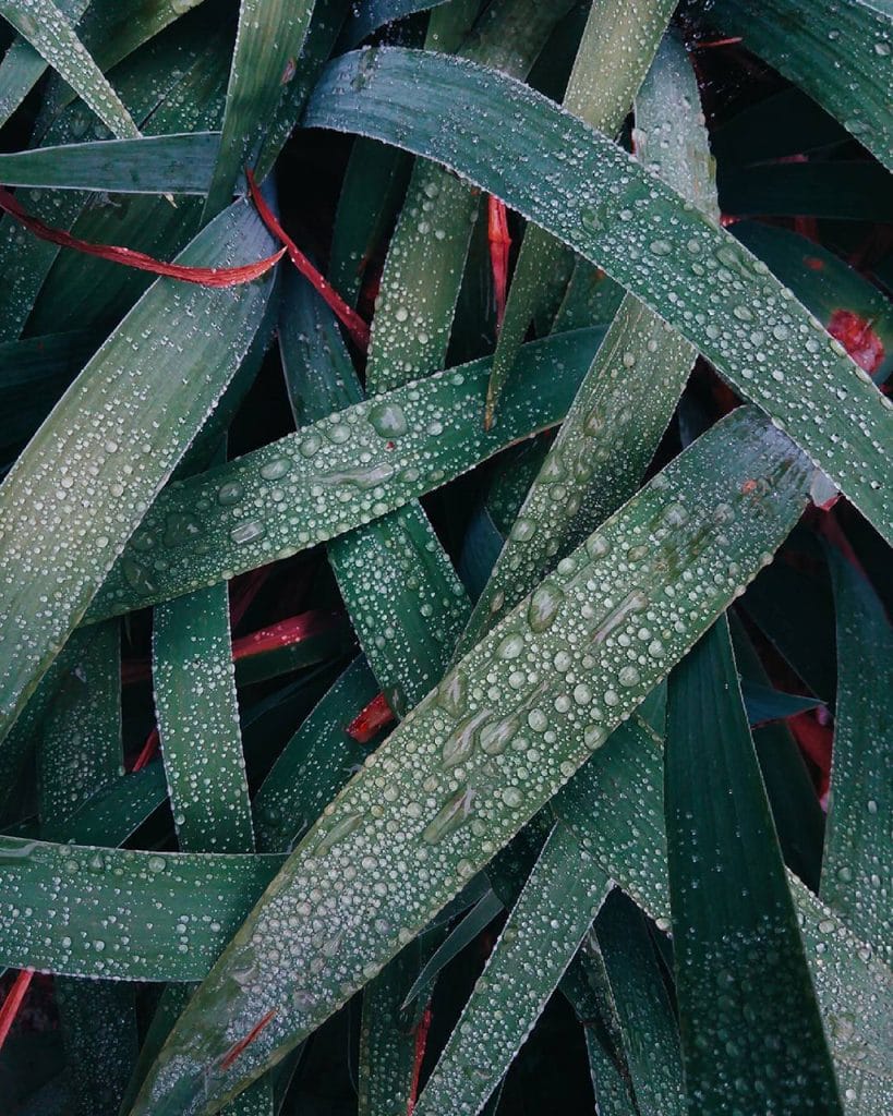 Mobiography Photo Challenge: 15 Rain Inspired Smartphone Photos 12