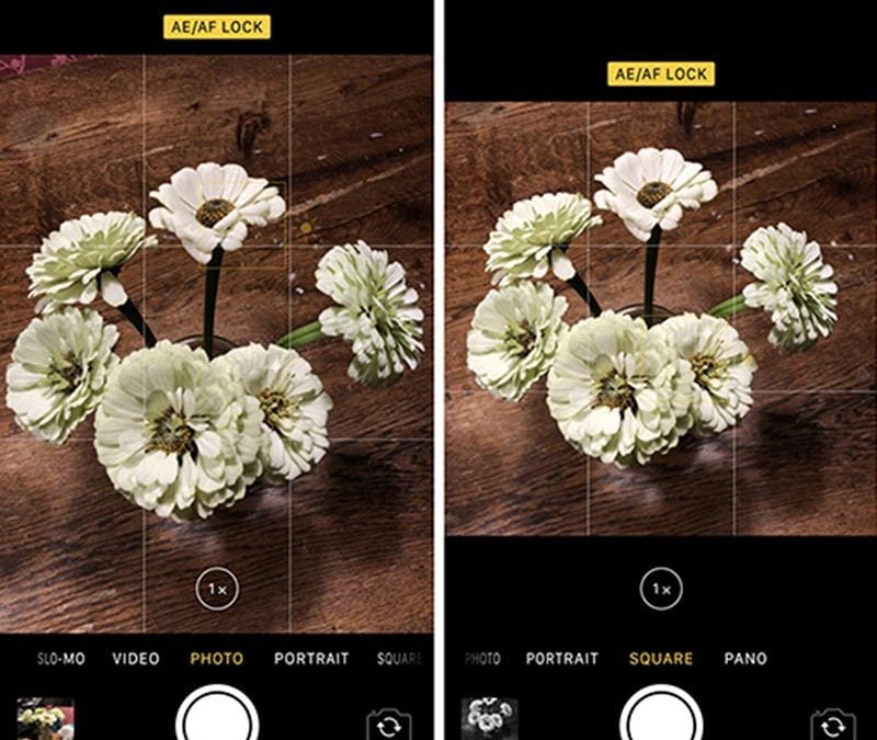 Best Camera Apps for iPhone (Updated for 2025)