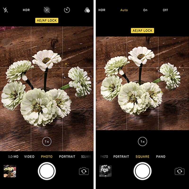 Best Camera Apps for iPhone (Updated for 2024)