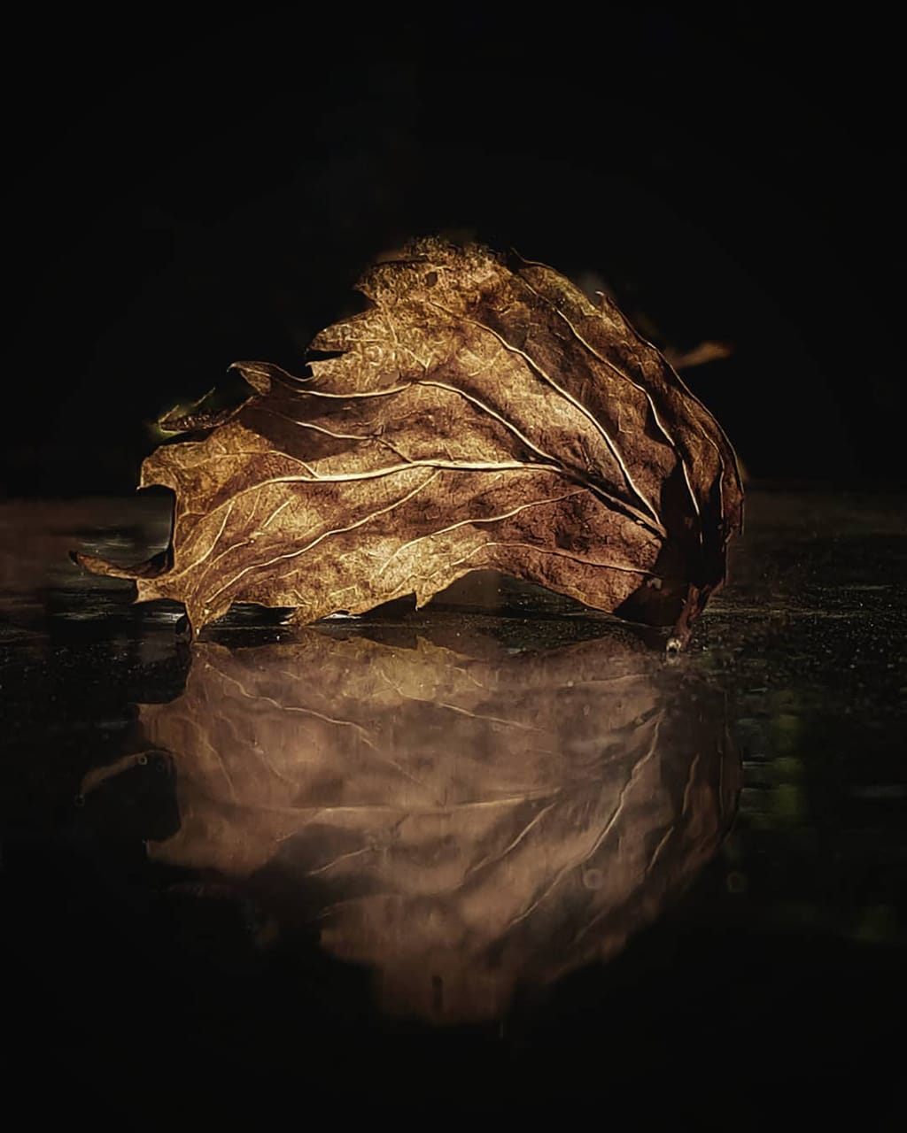 Mobiography Photo Challenge: 14 Amazing Autumn Inspired Smartphone Photos 1