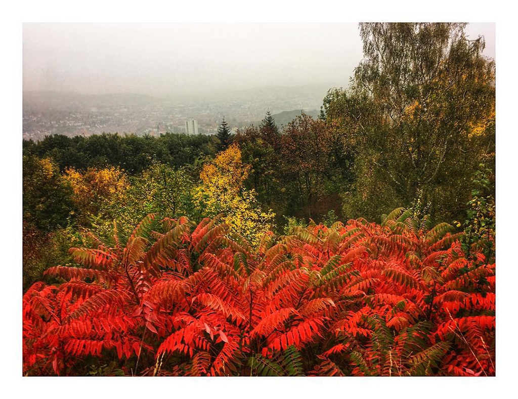 Mobiography Photo Challenge: 14 Amazing Autumn Inspired Smartphone Photos 3